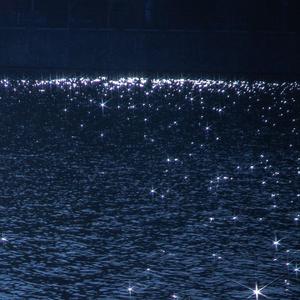 日韩三级性视频
