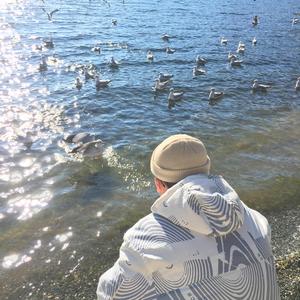 日韩三级性视频
